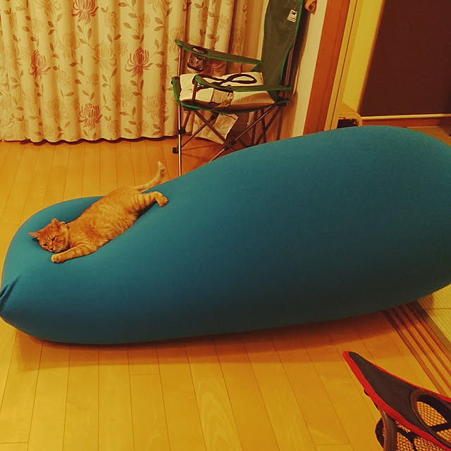 nakasetakeruさんの実例写真