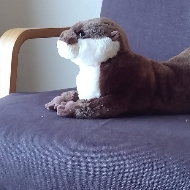 meruさんの実例写真