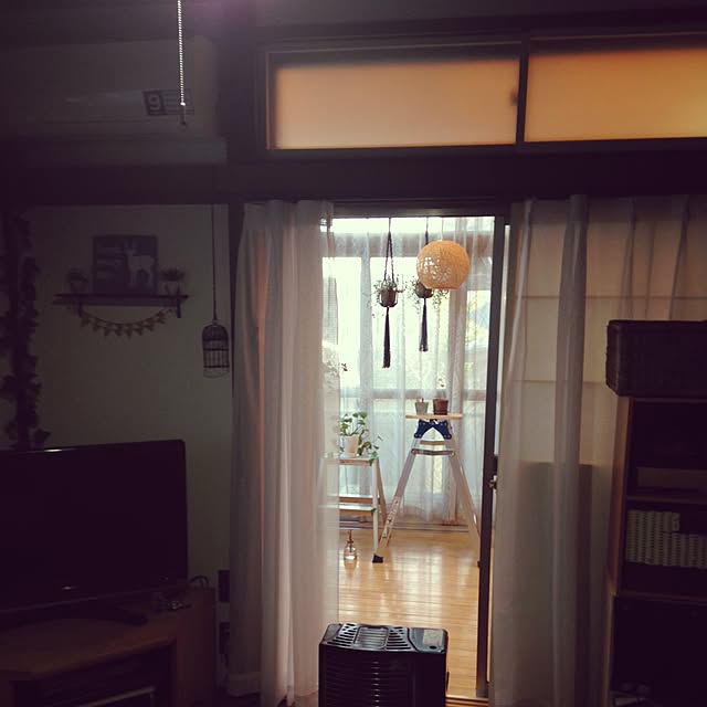 mikyuさんの実例写真