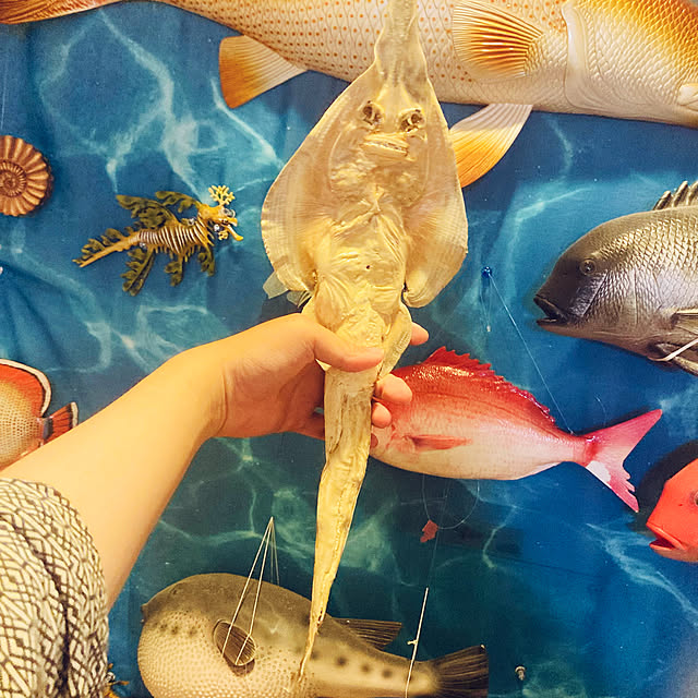 takakuzenさんの実例写真
