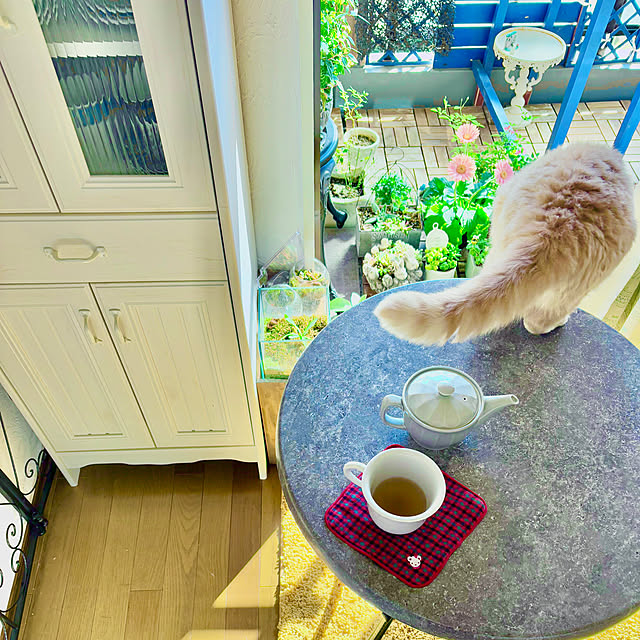 naokoさんの部屋