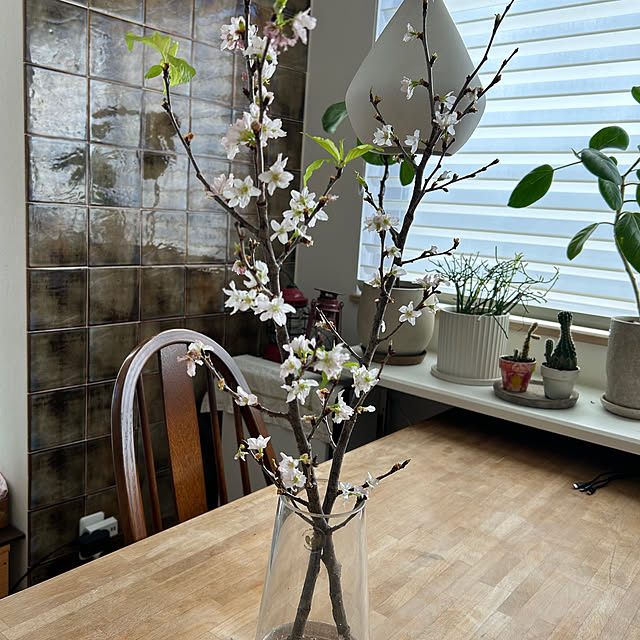 hatsugaさんの実例写真