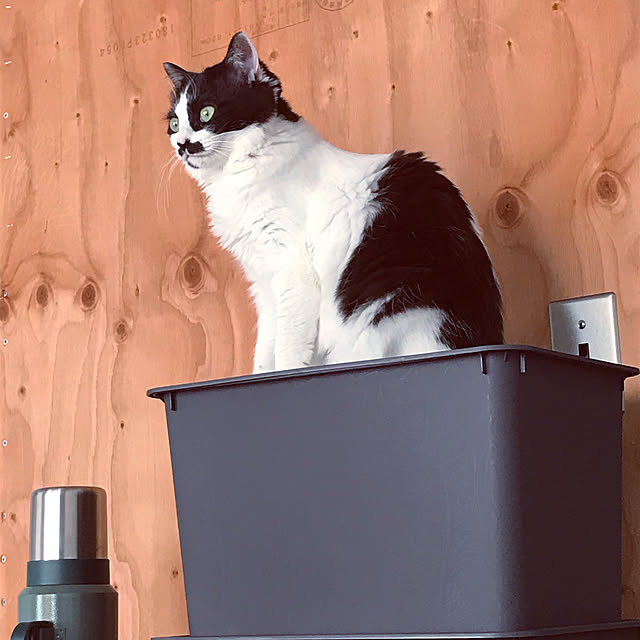 miuさんの実例写真