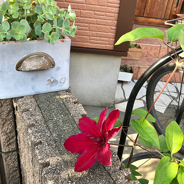 CoffeeHouseさんの実例写真