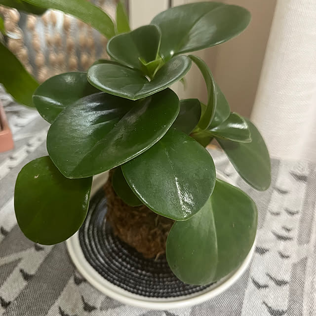 ha_ru76さんの部屋