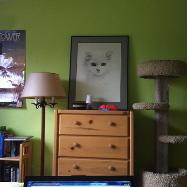 elephant631さんの実例写真