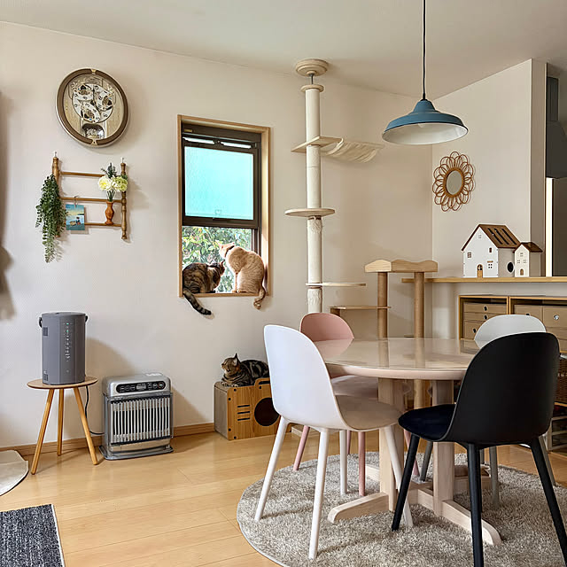 chiiさんの実例写真