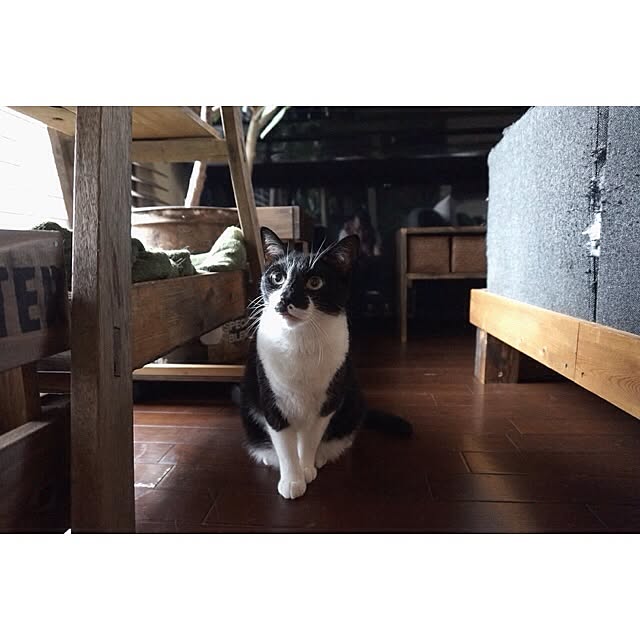 jnkaiさんの実例写真