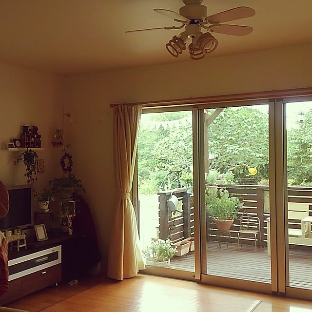 実例写真