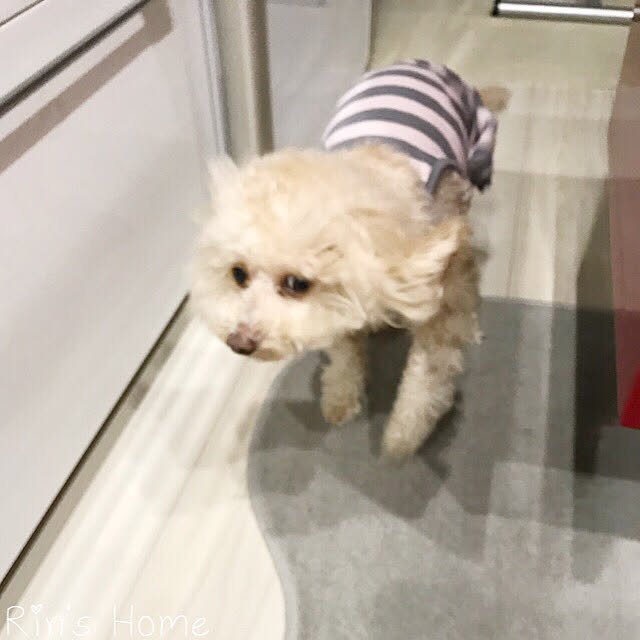 Rinさんの実例写真
