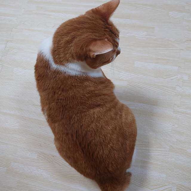 tetumuraさんの実例写真
