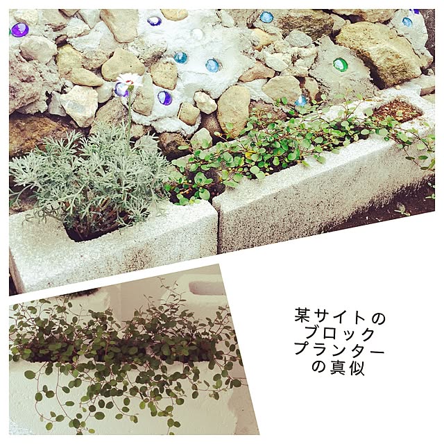 sachimさんの実例写真