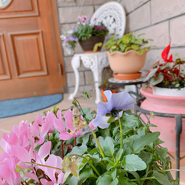kuraさんの実例写真