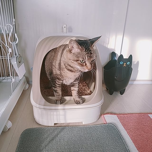 cocomintさんの部屋