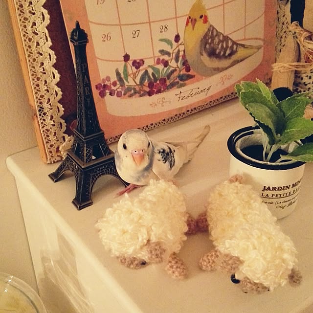 cocoamilkさんの実例写真