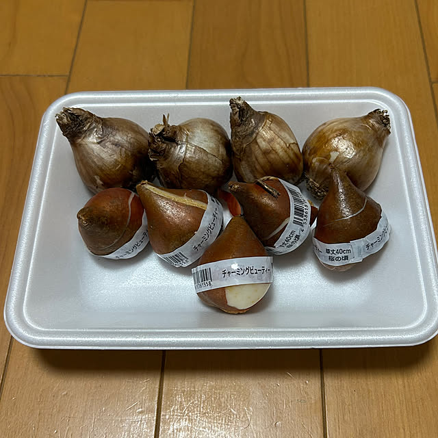 fumikoiさんの部屋