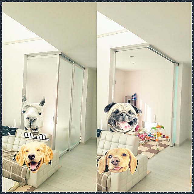 Kiraraさんの実例写真