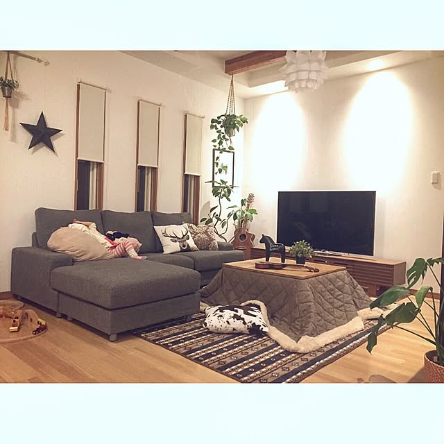 nekomusumeさんの実例写真