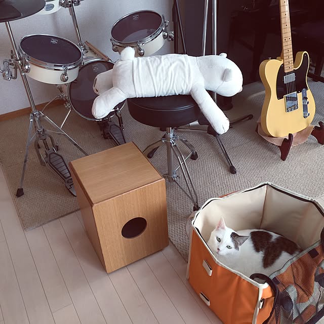 mion8800さんの実例写真