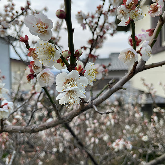 Andaluciaさんの部屋