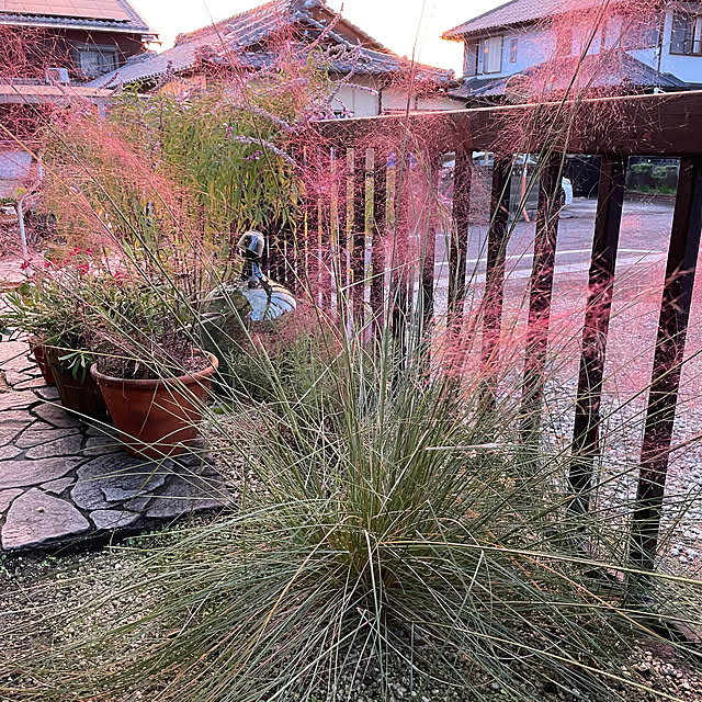 shin0719さんの部屋