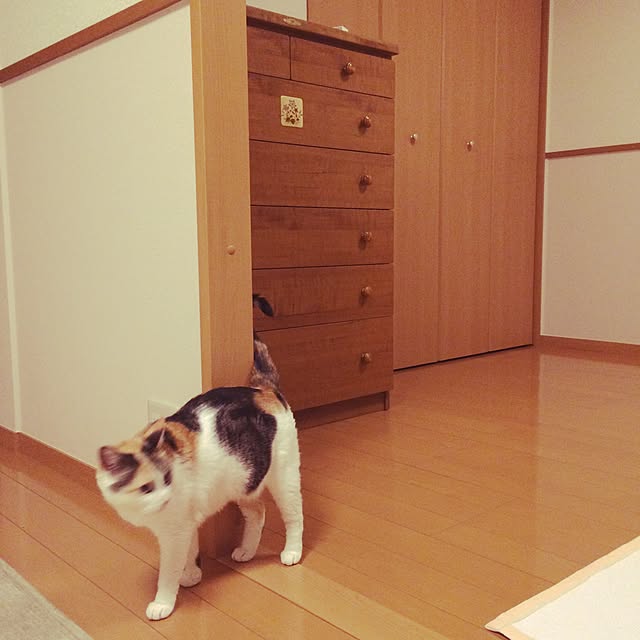 tacomozさんの実例写真