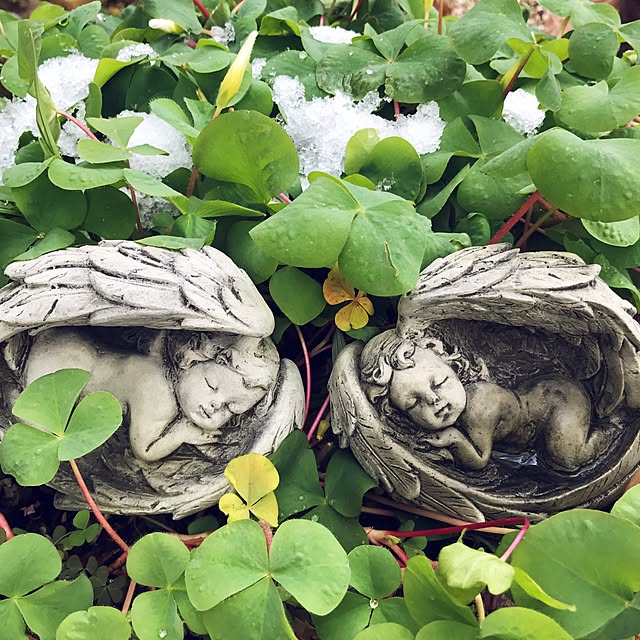 sil_tilさんの実例写真