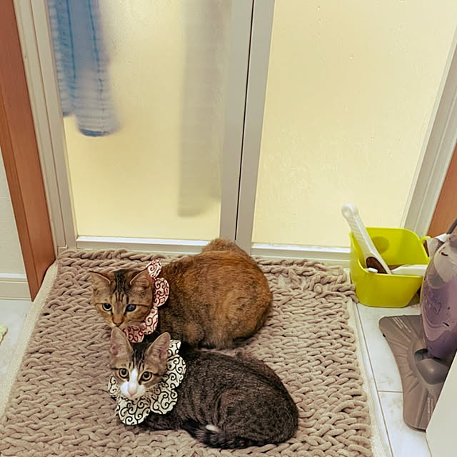 mochicoさんの実例写真