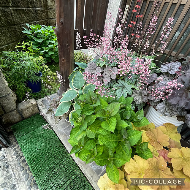 buchiさんの部屋