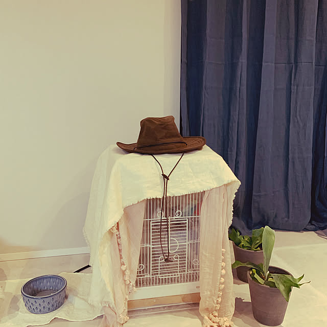 mi-yuさんの実例写真