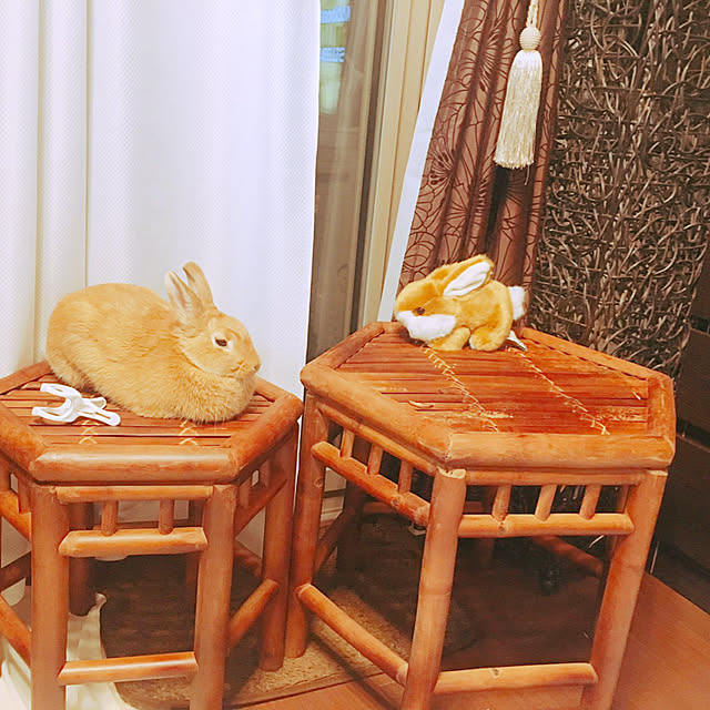 naanaNruruさんの実例写真