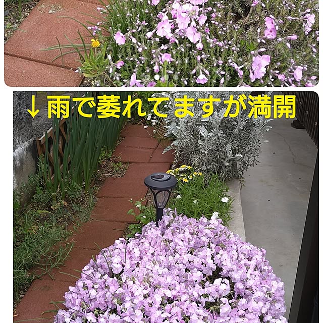 ameamekaasanさんの実例写真