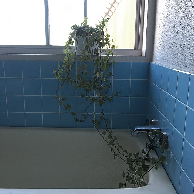7さんの実例写真