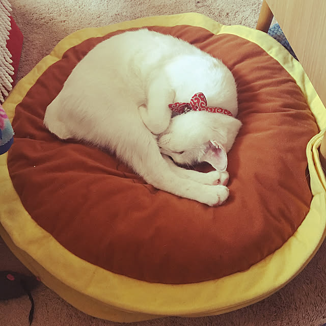 momiji0423さんの実例写真