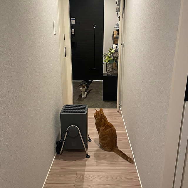 maimaiさんの実例写真