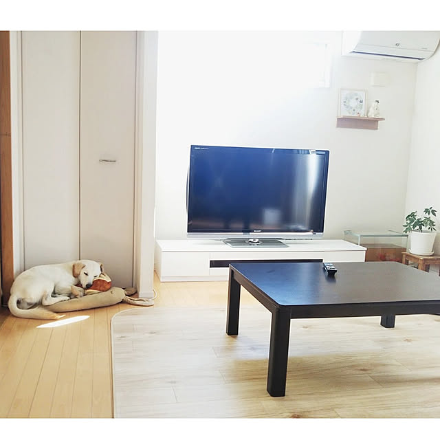 kaoriさんの実例写真