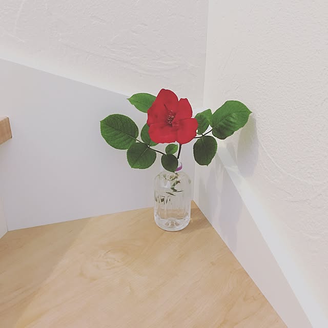 Aiさんの実例写真