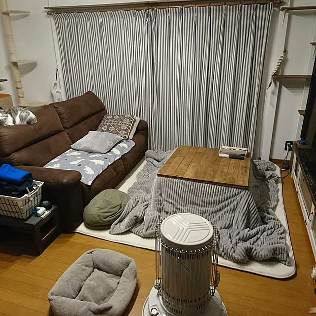 ichigo100さんの実例写真