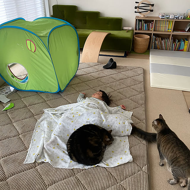 mikomaruさんの実例写真