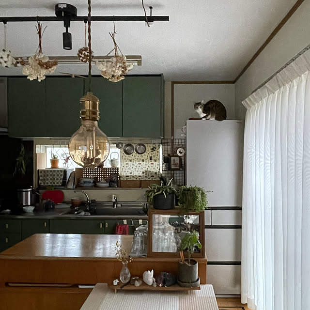 nobikoさんの部屋