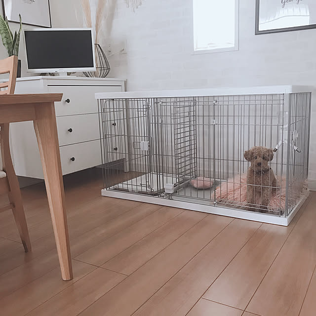 lilyさんの実例写真