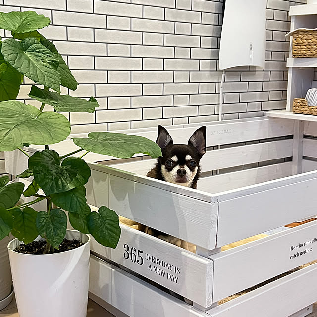 yumimaruさんの部屋