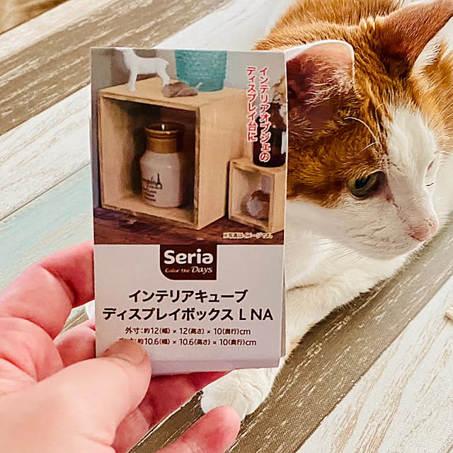 YUKAさんの実例写真