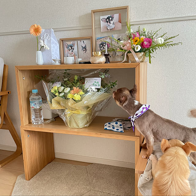 room...ronさんの実例写真