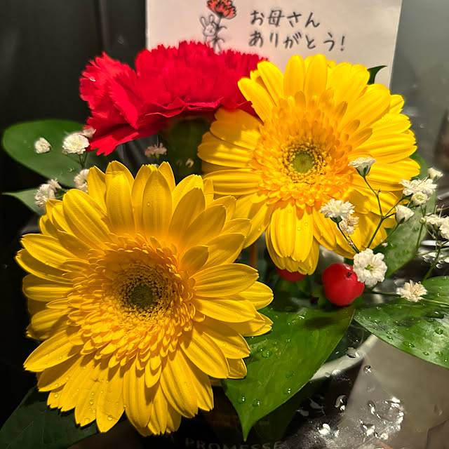 koshiregutyoさんの部屋