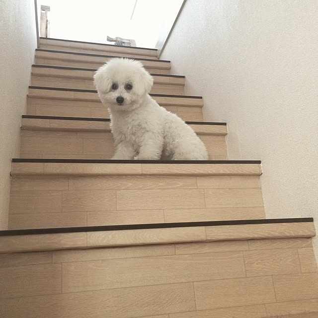 happy_bridgeさんの実例写真