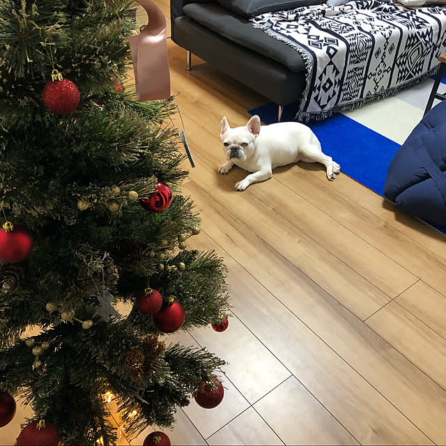 RuRuさんの実例写真