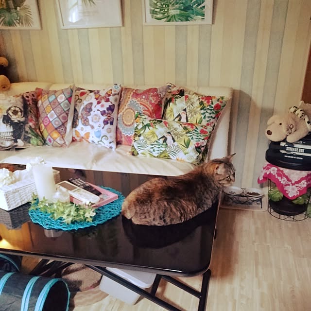 runaさんの部屋