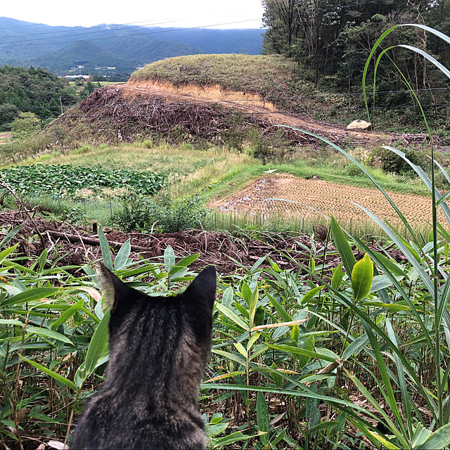 weさんの実例写真