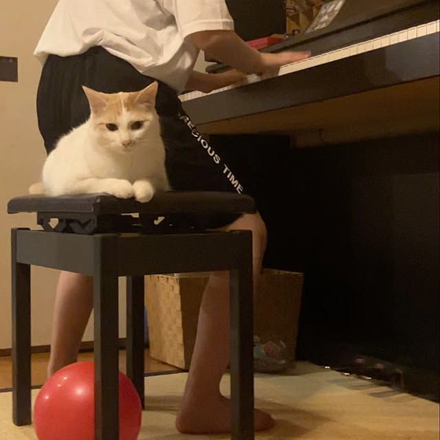 tomorinさんの部屋